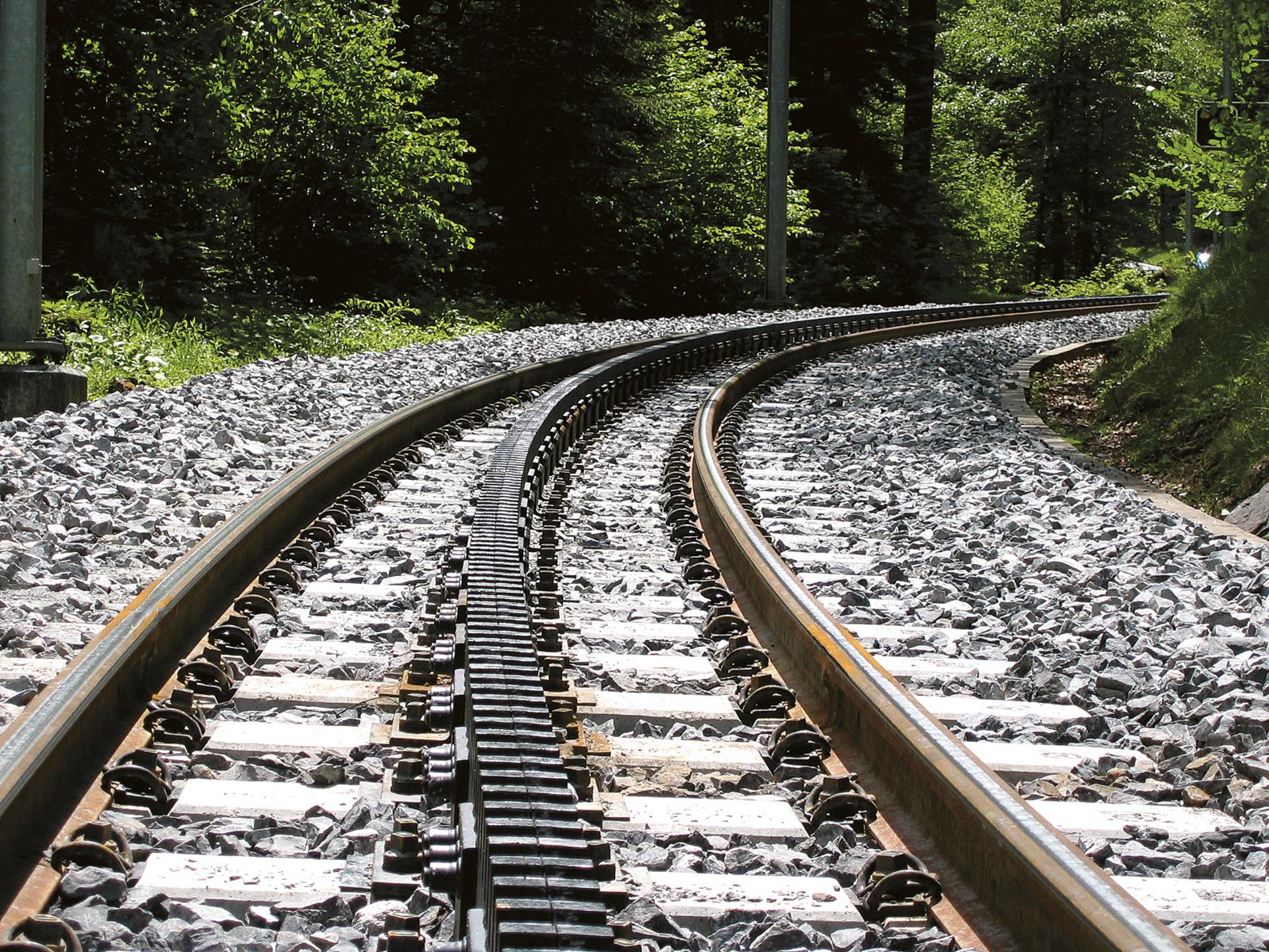 Zahnspangengleis Mehrspur mit Wald im Hintergrund