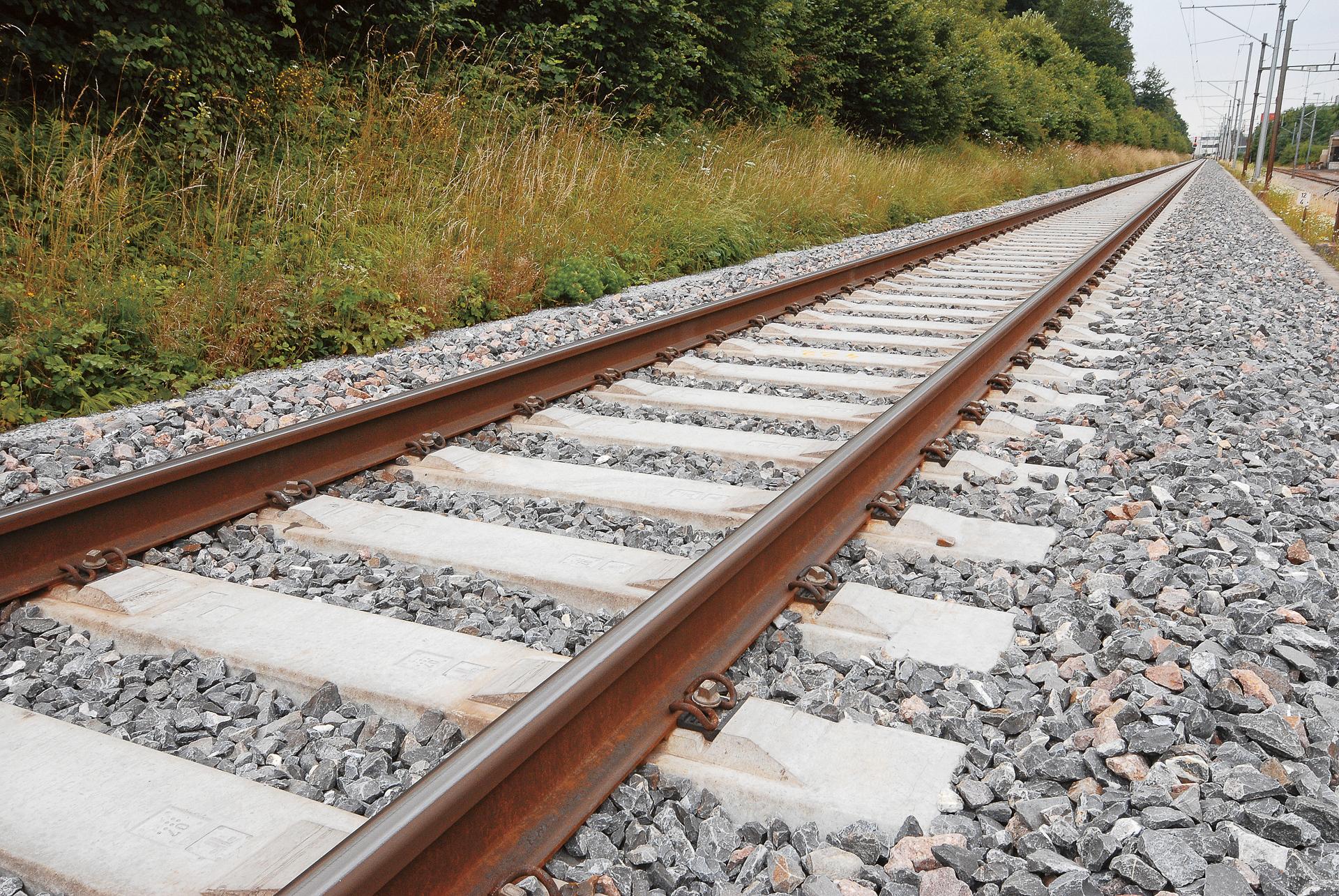 Flachschwelle Normalspur