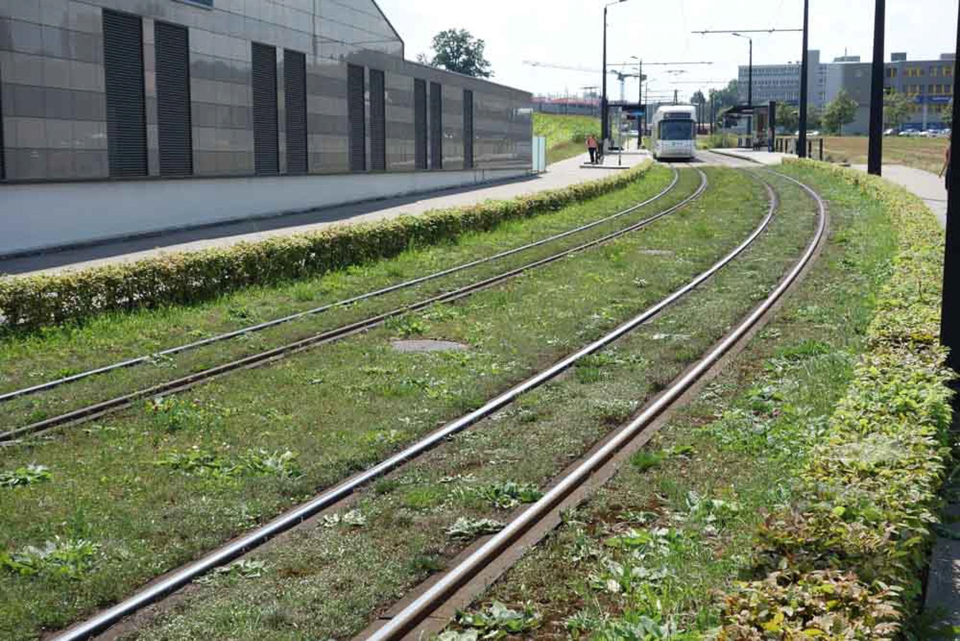 Begrünte Tramway-Lösung